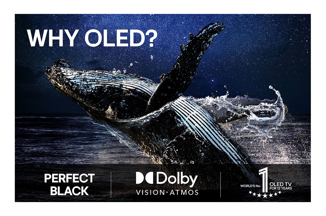 LG 55'' OLED evo AI C5 Pro 4K Smart TV 2025, Värikäs papukaija erittäin teräväpiirtoisena mustaa taustaa vasten. Sen ympärille on pysäytetty ilmaan vesipisaroita. Kuva esittelee Perfect Color -ominaisuutta, ja jokainen papukaijan kehon sävy on k, OLED55C5ELB, thumbnail 8