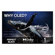 LG 48'' OLED evo AI C5 Pro 4K Smart TV 2025, Leopardi metsässä todentuntuisilla väreillä ja yksityiskohdilla. Leopardin takana on ruudukko ja hehkuvaa valoa, mikä ilmaisee, että LG AI Picture Pro on parantanut merkittävästi kuvan resoluutiota, k, OLED48C5ELB, thumbnail 8