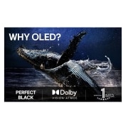 LG 42'' OLED evo AI C5 Pro 4K Smart TV 2025, Värikäs papukaija erittäin teräväpiirtoisena mustaa taustaa vasten. Sen ympärille on pysäytetty ilmaan vesipisaroita. Kuva esittelee Perfect Color -ominaisuutta, ja jokainen papukaijan kehon sävy on k, OLED42C5ELB, thumbnail 8