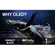 LG 55'' OLED evo AI G5 4K Smart TV 2025, Lifestyle image, OLED55G54LW, thumbnail 9