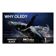 LG 77'' OLED evo AI G5 4K Smart TV 2025, lifestyle, OLED77G54LW, thumbnail 9