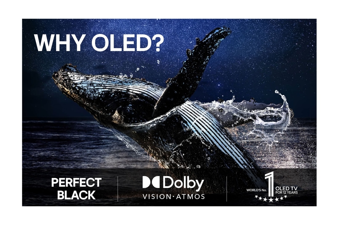 LG 83'' OLED evo AI G5 4K Smart TV 2025, lifestyle, OLED83G54LW, thumbnail 9