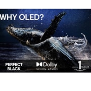 LG 48'' OLED evo AI G5 4K Smart TV 2025, Miksi OLED, OLED48G56LS, thumbnail 9