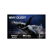 LG 48'' OLED AI B5 4K Smart TV 2025, 48 tuuman LG OLED evo AI B5 4K -älytelevisio 2025, OLED48B56LA, thumbnail 11