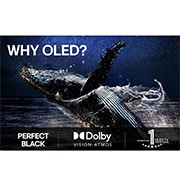 LG 55'' OLED evo AI G5 4K Smart TV 2025, Miksi OLED, OLED55G56LS, thumbnail 9