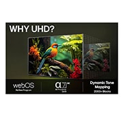 LG 50'' UHD AI UA73 4K Smart TV 2025, LG AI Magic Remote, jossa AI-painike on korostettu. Sen ympärillä on erilaisia toimintoja, joihin käyttäjä saa pääsyn painikkeen avulla. AI Voice ID, AI Search, AI Chatbot, AI Concierge, AI Picture Wi, 50UA73006LA, thumbnail 10