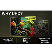 LG 43'' UHD AI UA73 4K Smart TV 2025, LG AI Magic Remote, jossa AI-painike on korostettu. Sen ympärillä on erilaisia toimintoja, joihin käyttäjä saa pääsyn painikkeen avulla. AI Voice ID, AI Search, AI Chatbot, AI Concierge, AI Picture Wi, 43UA73006LA, thumbnail 10