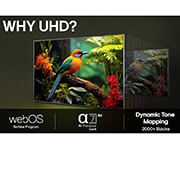 LG 50'' UHD AI UA75 4K Smart TV 2025, Lifestly View, 50UA75006LA, thumbnail 10