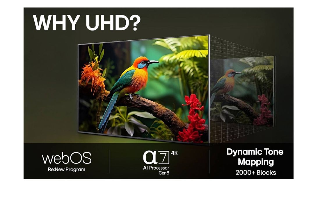 LG 43'' UHD AI UA75 4K Smart TV 2025, Lifestly View, 43UA75006LA, thumbnail 10