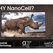LG 43'' NanoCell AI NANO80 4K Smart TV 2025, lifestyle, 43NANO80A6B, thumbnail 10