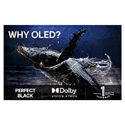 LG 83 tuuman LG OLED evo M5 4K -älytelevisio 2025, Olohuone, jossa on seinälle asennettu LG OLED TV. Televisiossa näkyy vuoristomaisema tumman tähtitaivaan alla. Näkymä on jaettu kahtia, jotta näkyy, miten Perfect Black välittää tosia mustan tasoja ol, OLED83M59LA, thumbnail 8