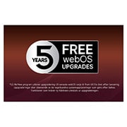 LG 83 tuuman LG OLED evo M5 4K -älytelevisio 2025, Värikäs papukaija erittäin teräväpiirtoisena mustaa taustaa vasten. Sen ympärille on pysäytetty ilmaan vesipisaroita. Kuva esittelee Perfect Color -ominaisuutta, ja jokainen papukaijan kehon sävy on k, OLED83M59LA, thumbnail 9