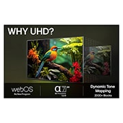 LG 86'' UHD AI UA75 4K Smart TV 2025, Lifestly View, 86UA75006LA, thumbnail 10