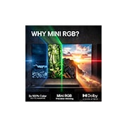 LG 55'' Mini RGB MRGB87 4K AI TV - 2026, LG 55" Mini RGB MRGB87 4K AI TV - 2026, 55MRGB87B6B, thumbnail 8