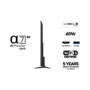 LG 85'' QNED evo MiniLED QNED81 4K AI TV - 2026, Erittäin suuri LG QNED evo AI QNED80 Mini LED -televisio on asennettu seinälle valoisassa olohuoneessa. Laajalla näytöllä näkyy jalkapallopelin jälkeistä juhlintaa eloisin värein ja huippuluokan kuvan, 85QNED81B6A, thumbnail 3