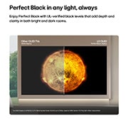 LG 65'' OLED B6E 4K AI TV - 2026, LG 65" OLED B6E 4K AI TV - 2026 , OLED65B6ELC, thumbnail 11