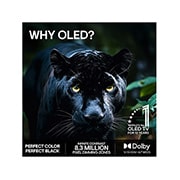 LG 83'' OLED B6E 4K AI TV - 2026, LG 83" OLED B6E 4K AI TV - 2026, OLED83B6ELB, thumbnail 9