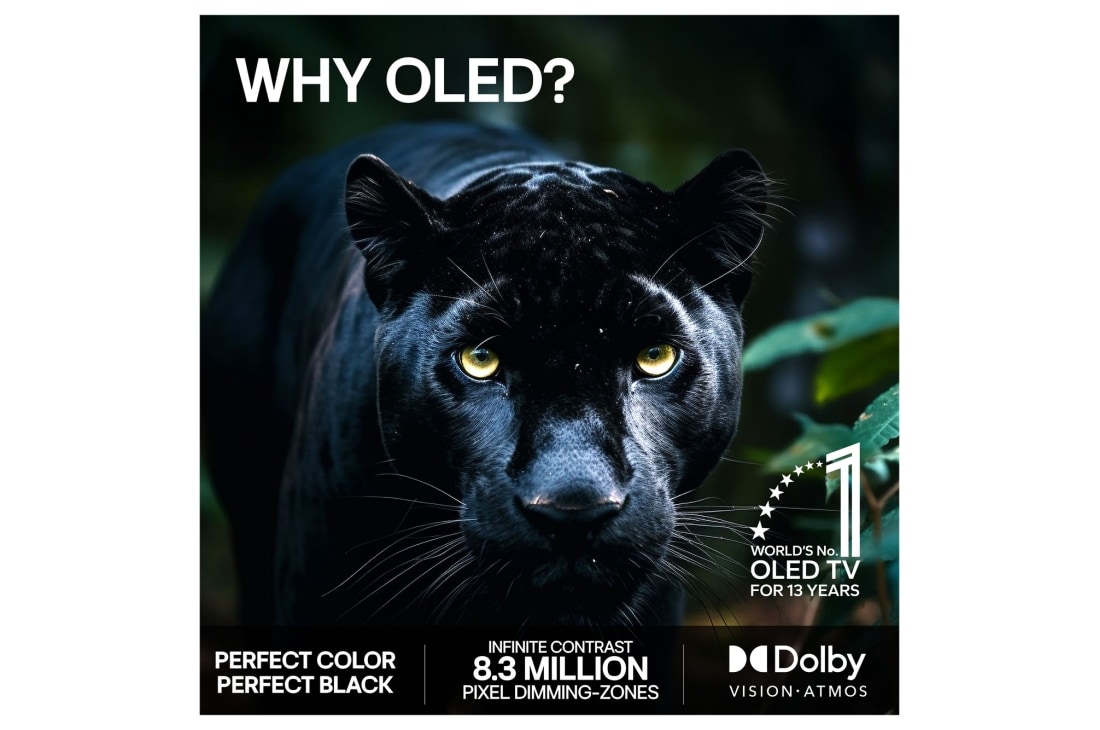 LG 55'' OLED evo Gallery G6 4K AI TV - 2026, OLED77G64LW, OLED55G64LW, thumbnail 9