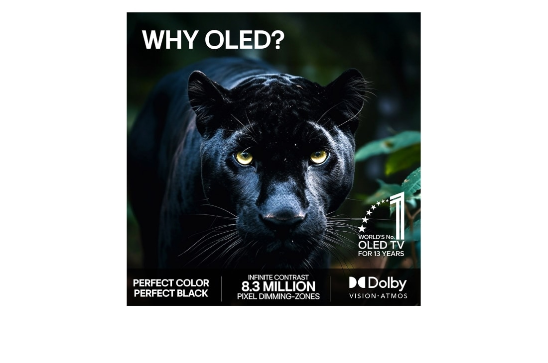 LG 83'' OLED evo Wallpaper W6 4K AI TV – 2026, OLED83W69LA, thumbnail 9