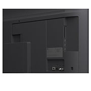 LG 55'' QNED evo MiniLED QNED81 4K AI TV - 2026, 55QNED81B6A, thumbnail 14