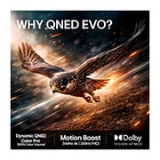 LG 43'' QNED evo MiniLED QNED81 4K AI TV - 2026, 43QNED81B6C, thumbnail 9
