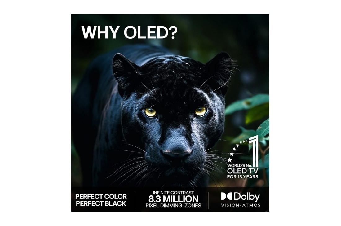 LG 83'' OLED evo C64 4K AI TV - 2026, OLED83C64LA, thumbnail 9