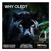 LG 55'' OLED evo Gallery G6 4K AI TV - 2026, OLED55G66LS, thumbnail 9