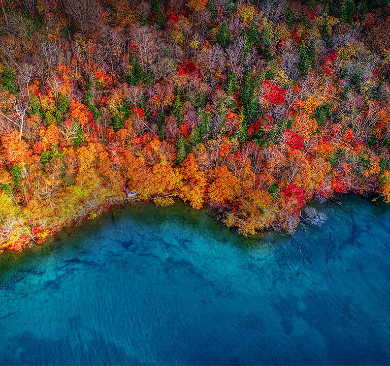 NanoCell TV, The Perfect Harmony of Puhdas Colors