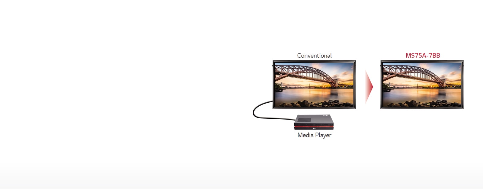 No Extra Media Player1