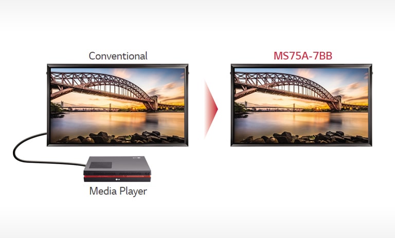 No Extra Media Player2