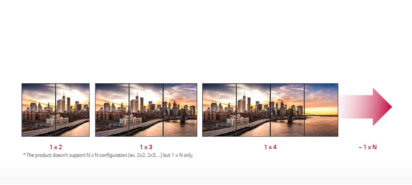 1 x N Expandability1