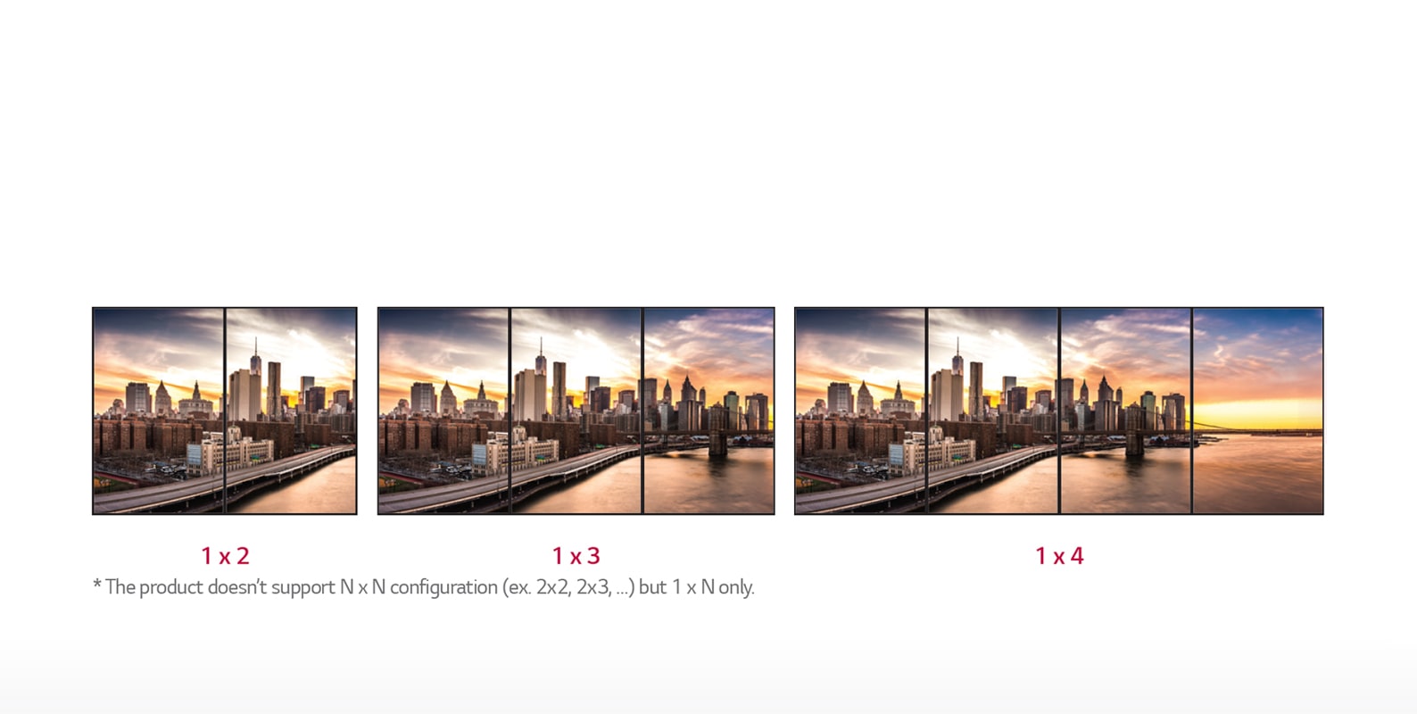 1 x N Expandability1