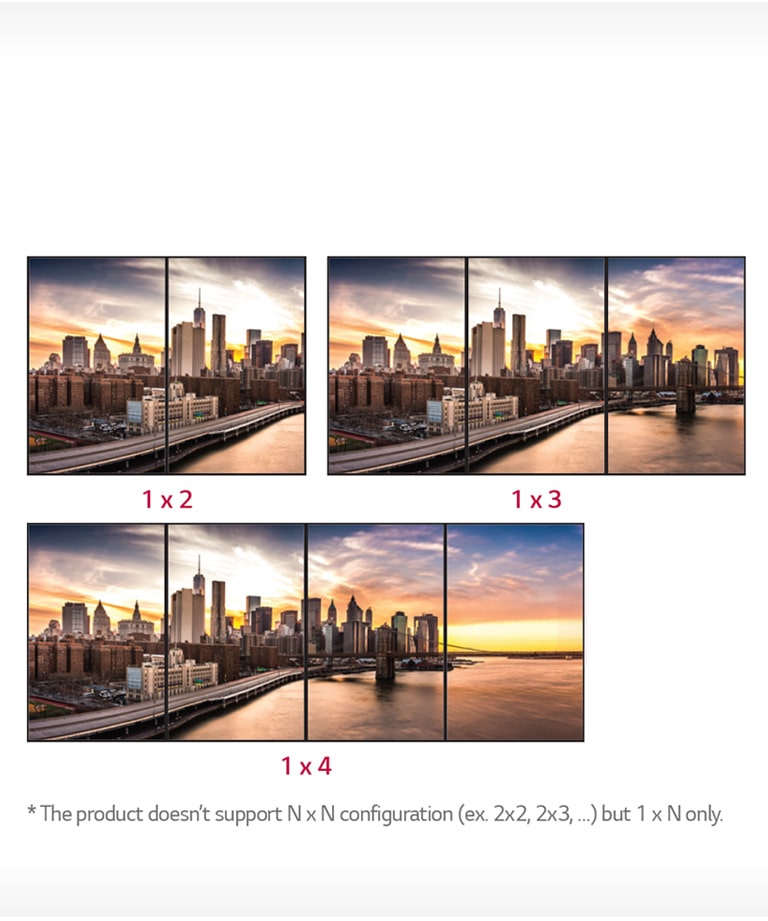 1 x N Expandability2