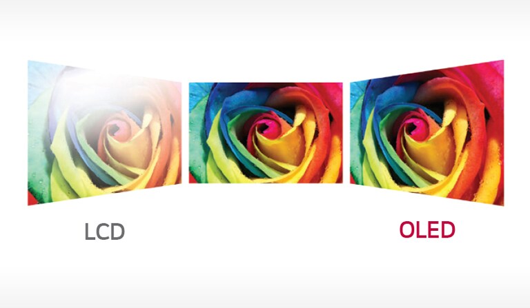 Perfect Viewing Screen2