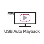 USB Auto Playback1