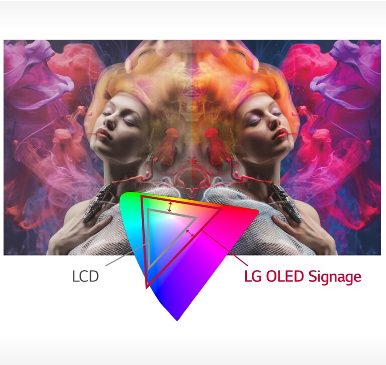 03_Perfect-Color_1543801272448