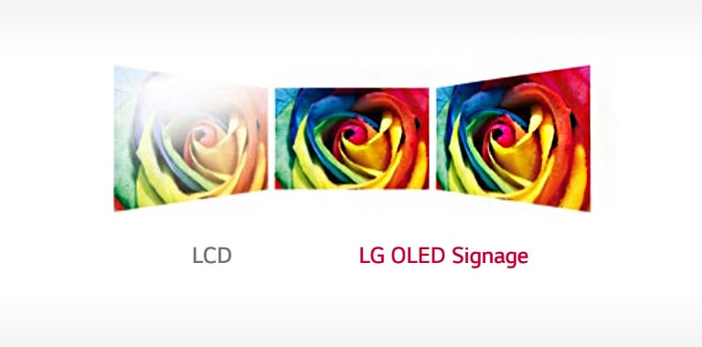 Perfect Viewing Screen2