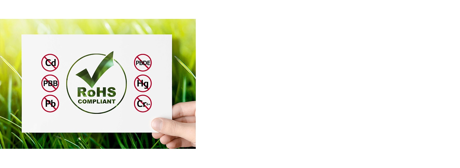 RoHS Certified Safe Product