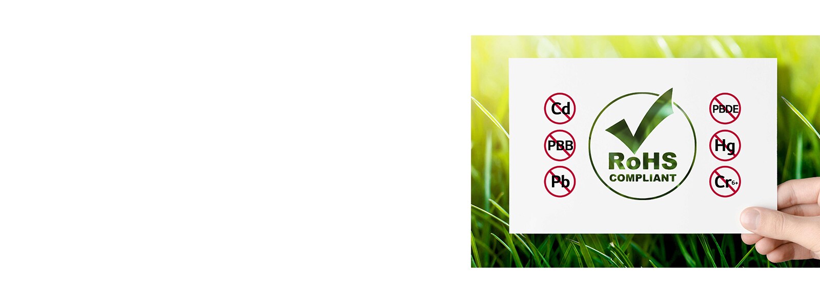 RoHS Certified Safe Product