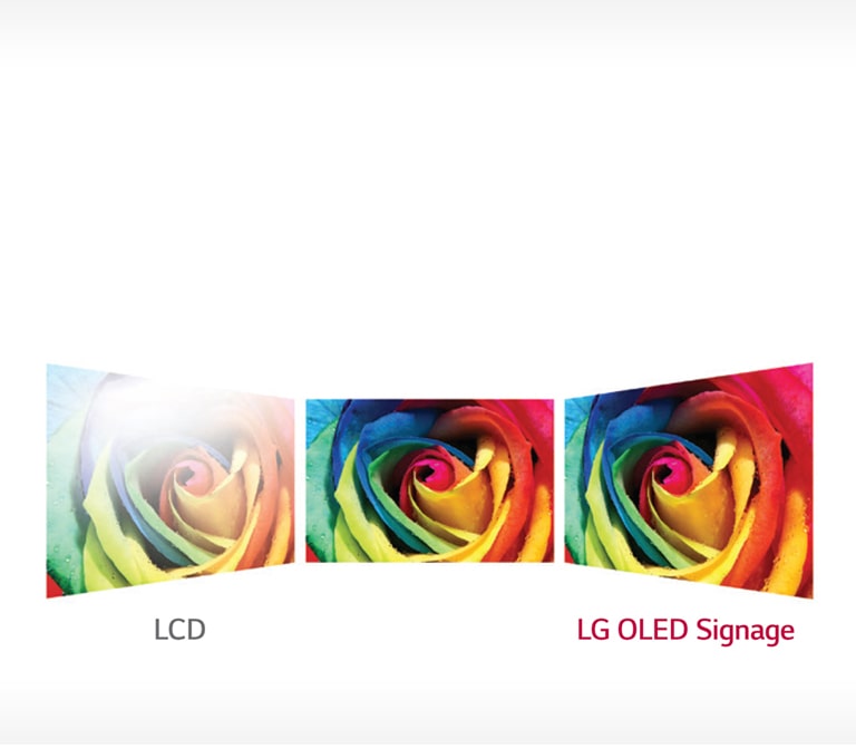 Perfect Viewing Screen2