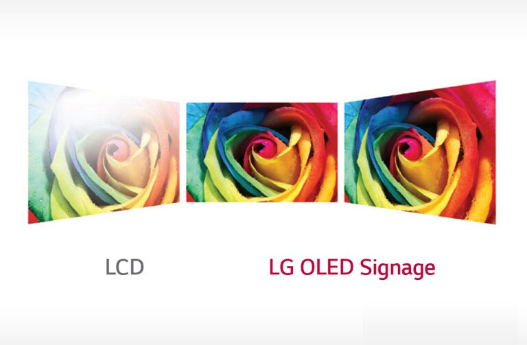 Perfect Viewing Screen2