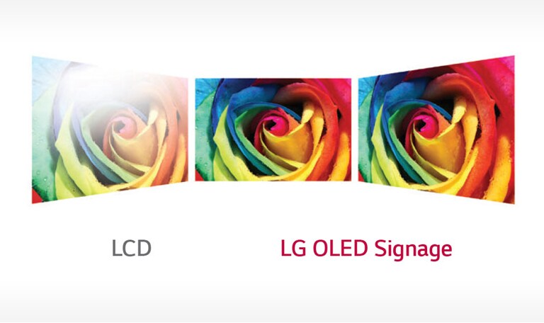 Perfect Viewing Screen2