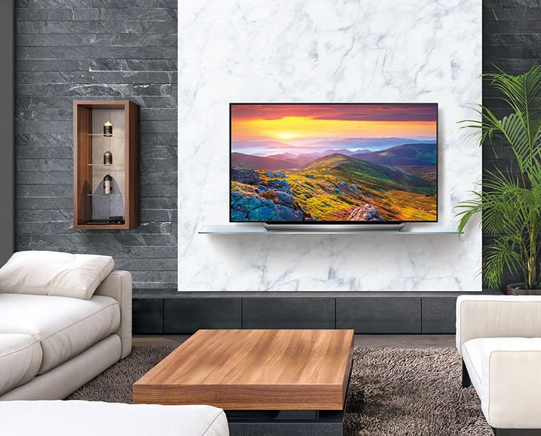 OLED Hotel TV with Premier IP & RF Solution2