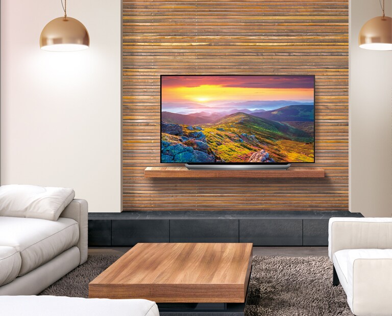 00_OLED Hotel TV with Premier IP & RF Solution_1541480299642