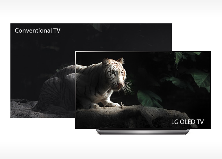 Perfect Black. Intense Color2