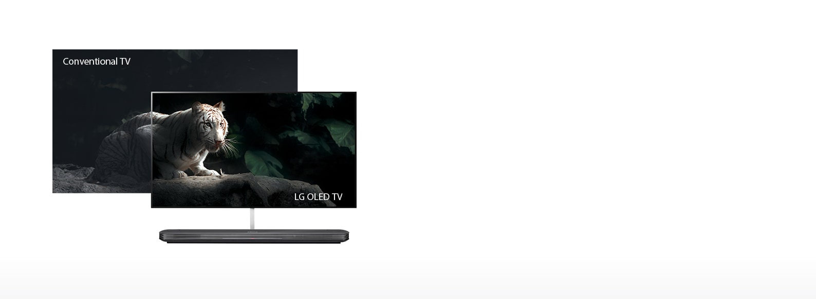 Perfect Black. Intense Color1