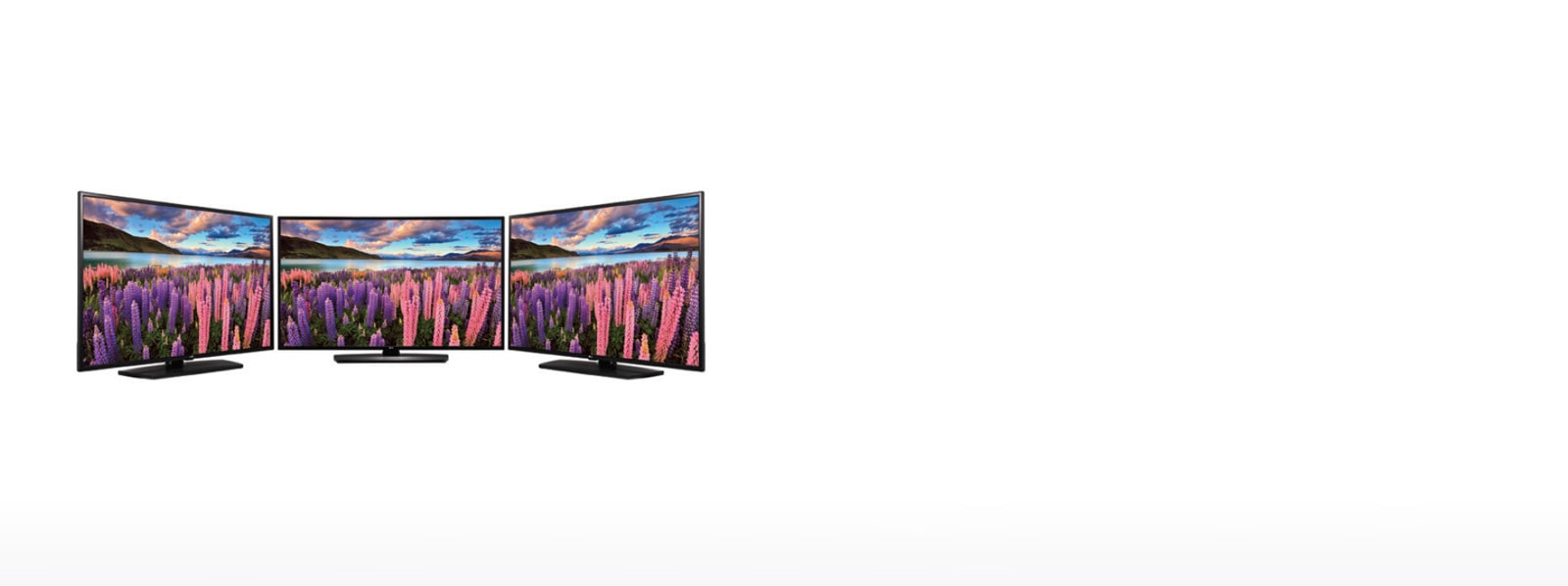 4K IPS Wide Viewing Angle1