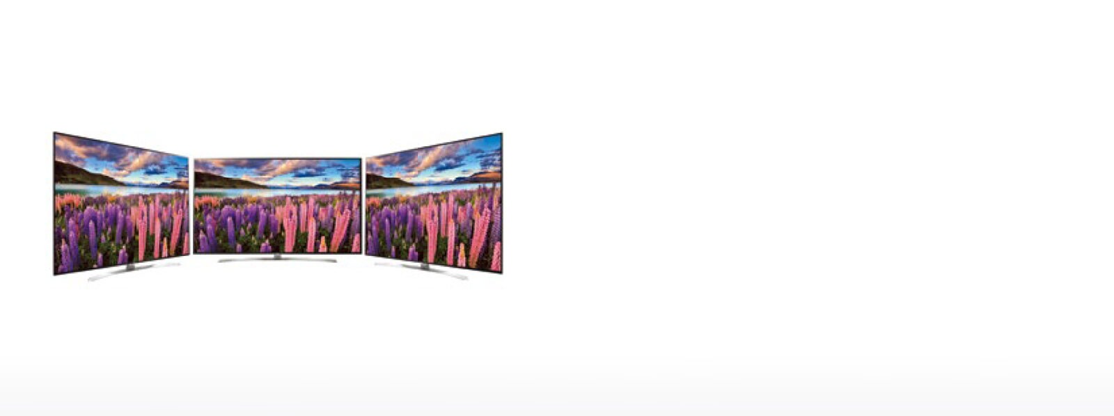 4K IPS Wide Viewing Angle1