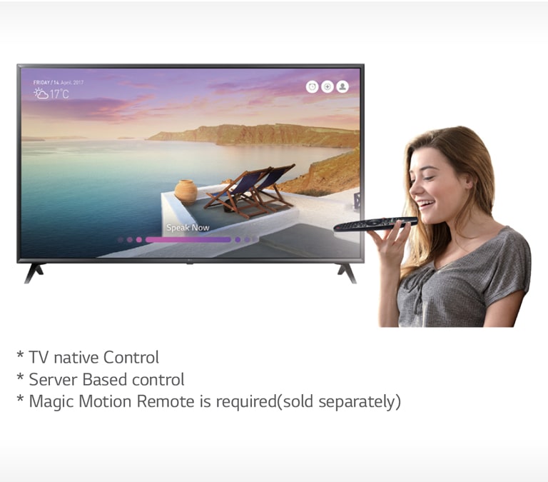 09_Voice-Recognition_1529455952023