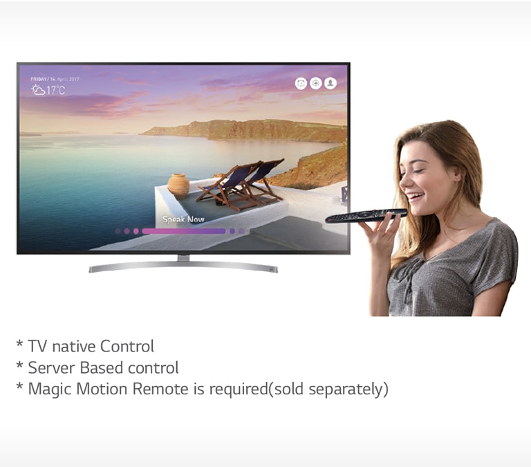 09_Voice-Recognition_1532049402656